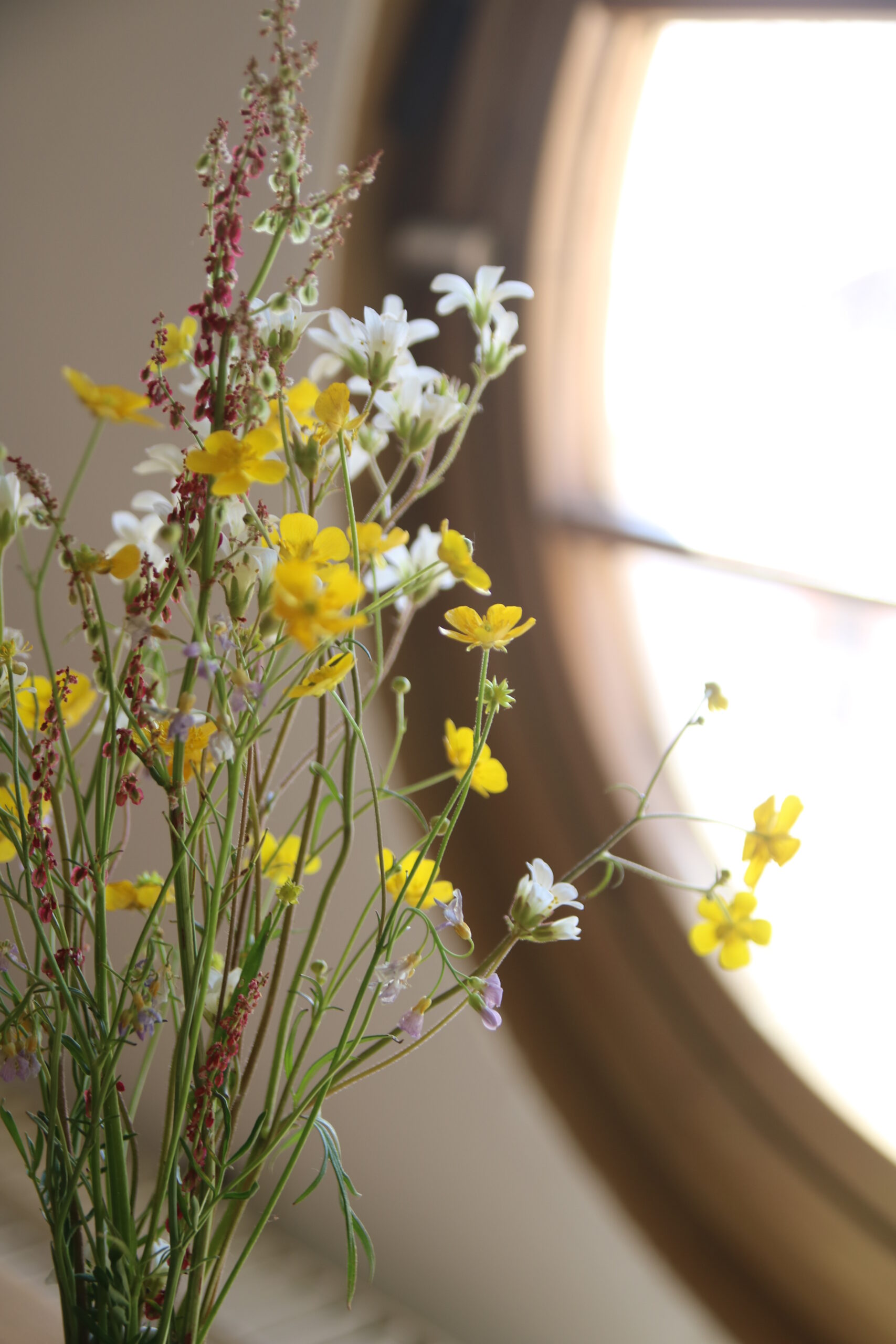 Wiesenblumen im Gästezimmer