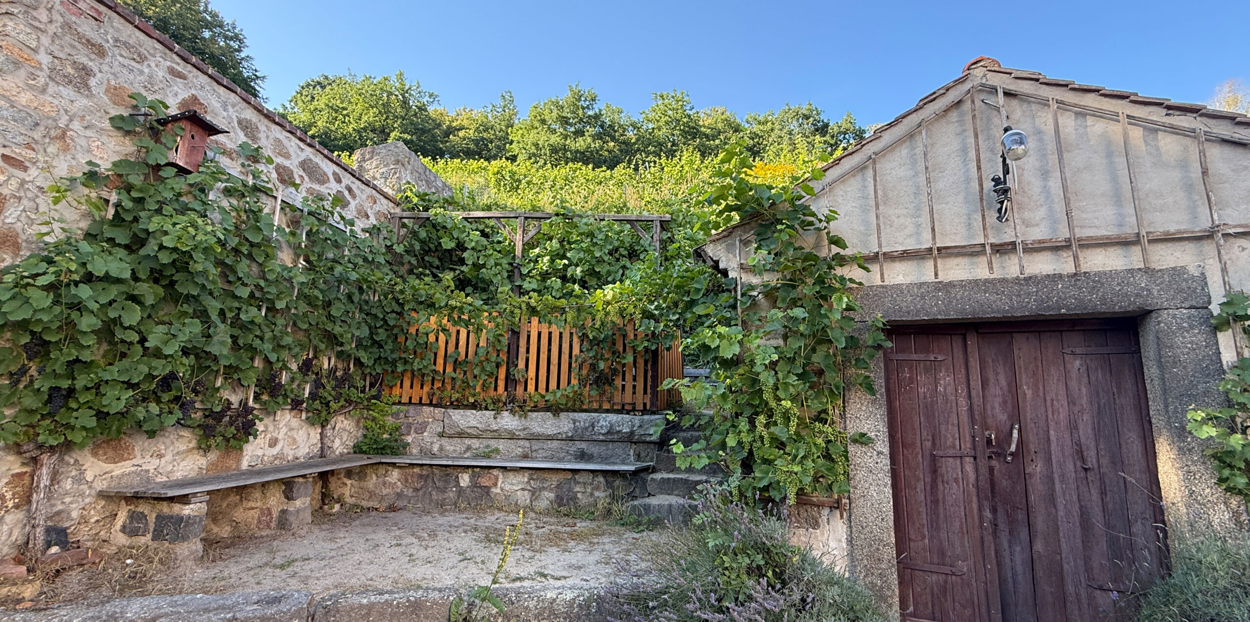 Der östlichste Weinberg Deutschlands